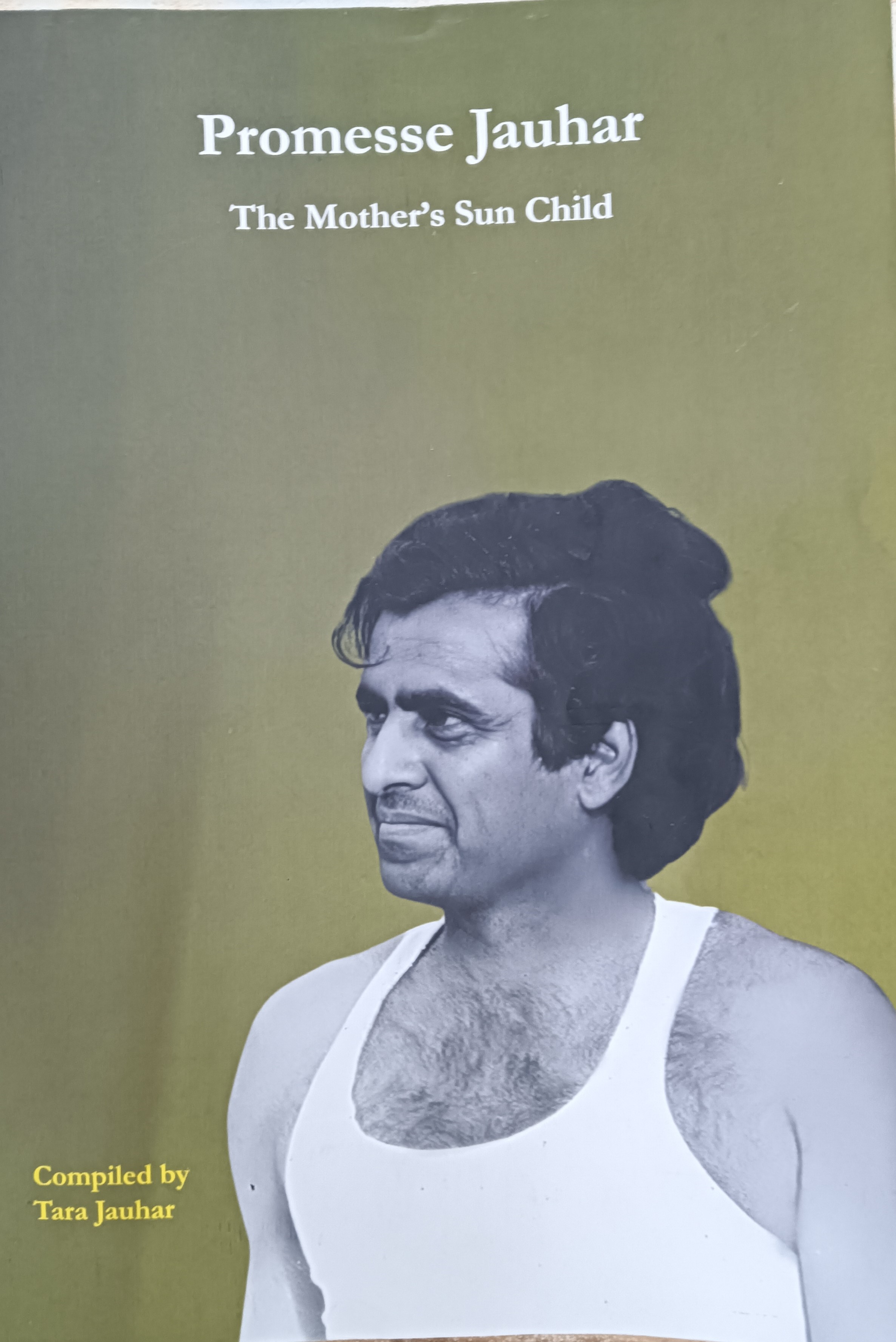 Promesse Book Cover